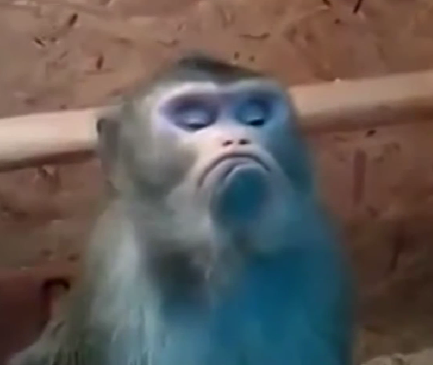 Приклад зліва